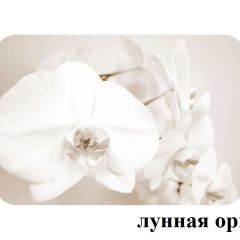 БОСТОН - 2 опоры Триумф в Серове - serov.mebel24.online | фото 18