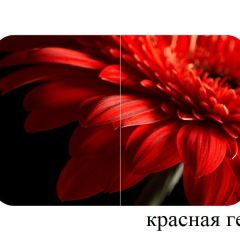 БОСТОН - 2 опоры Триумф в Серове - serov.mebel24.online | фото 50
