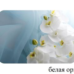 БОСТОН - 2 опоры Триумф в Серове - serov.mebel24.online | фото 52
