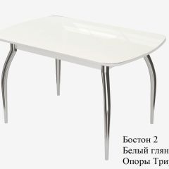 БОСТОН - 2 опоры Триумф в Серове - serov.mebel24.online | фото 2