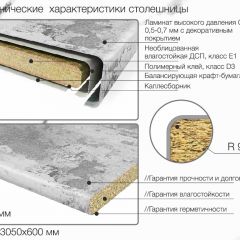 Кухонный фартук со столешницей (А-01) в едином стиле (3050 мм) в Серове - serov.mebel24.online | фото 6