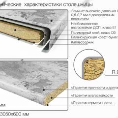 Кухонный фартук со столешницей (А-010) в едином стиле (3050 мм) в Серове - serov.mebel24.online | фото 7