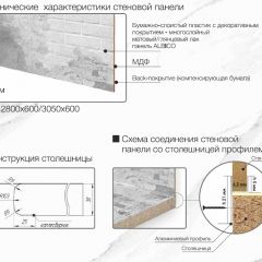 Кухонный фартук со столешницей (А-010) в едином стиле (3050 мм) в Серове - serov.mebel24.online | фото 6