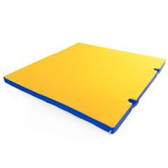 Мат гимнастический 1х1х0,05м с вырезом под стойки цв. синий-желтый в Серове - serov.mebel24.online | фото 1