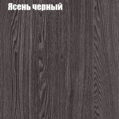 Прихожая ДИАНА-4 сек №11 (Ясень анкор/Дуб эльза) в Серове - serov.mebel24.online | фото 3