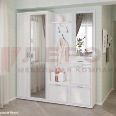 Прихожая Карина композиция 1 (Снежный ясень) в Серове - serov.mebel24.online | фото