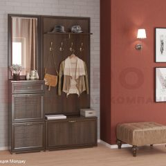 Прихожая Карина композиция 2 (Акация Молдау) в Серове - serov.mebel24.online | фото