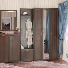 Прихожая Карина композиция 4 (Акация Молдау) в Серове - serov.mebel24.online | фото