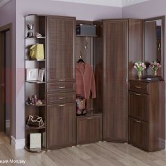 Прихожая Карина композиция 5 (Акация Молдау) в Серове - serov.mebel24.online | фото