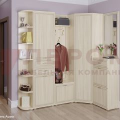 Прихожая Карина композиция 5 (Ясень Асахи) в Серове - serov.mebel24.online | фото