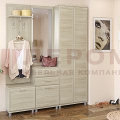 Прихожая Мелисса композиция 11 (Ясень Асахи) в Серове - serov.mebel24.online | фото