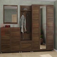Прихожая Мелисса композиция 2 (Акация Молдау) в Серове - serov.mebel24.online | фото