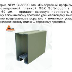 Шкаф-купе 1500 серии NEW CLASSIC K2+K2+B2+PL2(2 ящика+1 штанга+1 полка) профиль «Капучино» в Серове - serov.mebel24.online | фото 17