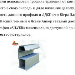 Шкаф-купе 1500 серии SILVER S1+S1+B2+PL2 (2 ящика+1 штанга+1 полка) профиль «Серебро» в Серове - serov.mebel24.online | фото 4