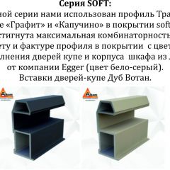 Шкаф-купе 1600 серии SOFT D8+D2+B2+PL4 (2 ящика+F обр.штанга) профиль «Графит» в Серове - serov.mebel24.online | фото 12