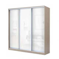 Шкаф-купе ХИТ 22-4-20/2-888 (420) в Серове - serov.mebel24.online | фото 7