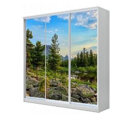 Шкаф-купе ХИТ 23-20/2-777 (620) в Серове - serov.mebel24.online | фото