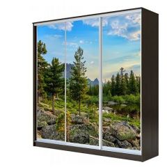 Шкаф-купе ХИТ 23-4-18-777 (420) в Серове - serov.mebel24.online | фото 1
