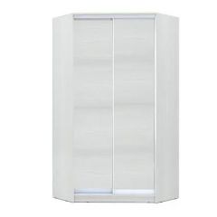 Шкаф-купе ХИТ-У-R-24-64-11 в Серове - serov.mebel24.online | фото