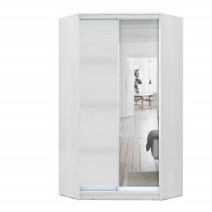 Шкаф-купе ХИТ-У-R-24-64-15 в Серове - serov.mebel24.online | фото