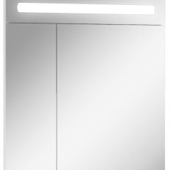 Шкаф-зеркало Аврора 65 с подсветкой LED Домино (DV8006HZ) в Серове - serov.mebel24.online | фото