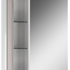 Шкаф-зеркало Uno 60 Дуб серый левый/правый Домино (DU1503HZ) в Серове - serov.mebel24.online | фото 3