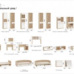 Система Стелс Шкаф-Пенал 1в1д1ящ Дуб сонома/Белый в Серове - serov.mebel24.online | фото 3