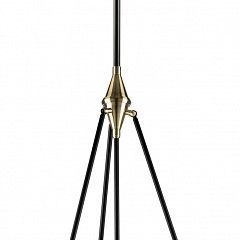 Светильник на штанге Lightstar Modena 816047 в Серове - serov.mebel24.online | фото