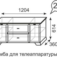 Тумба для телеаппаратуры Венеция 21 бодега в Серове - serov.mebel24.online | фото 3