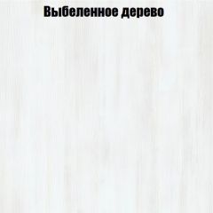 Вешалка V2 в Серове - serov.mebel24.online | фото 4