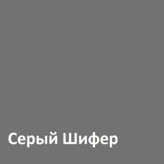 Юнона Шкаф торцевой 13.221 в Серове - serov.mebel24.online | фото 2