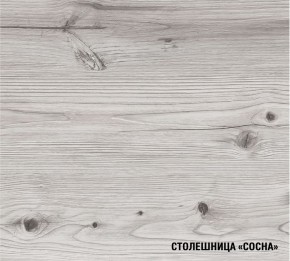 АСАЯ Кухонный гарнитур Экстра 2 (3000 мм) ПМ в Серове - serov.mebel24.online | фото 8