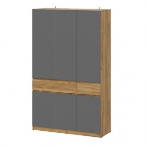 АВИНЬОН Шкаф 3-х створчатый с ящиками в Серове - serov.mebel24.online | фото