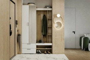 Гарнитур для прихожей Торонто в Серове - serov.mebel24.online | фото 5