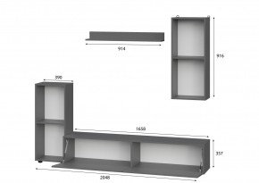 Гостиная МГС 10 (Графит) в Серове - serov.mebel24.online | фото 2