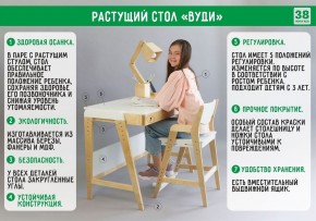 Комплект растущий стол и стул с чехлом 38 попугаев «Вуди» (Белый, Береза, Ромбы) в Серове - serov.mebel24.online | фото 2