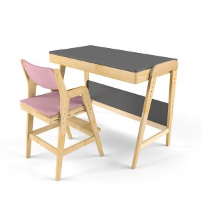 Комплект растущий стол и стул с чехлом 38 попугаев «Вуди» (Серый, Береза, Розовый) в Серове - serov.mebel24.online | фото