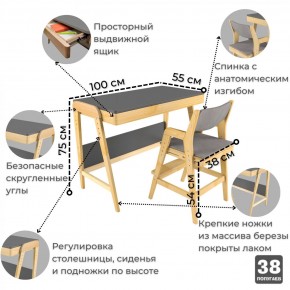 Комплект растущий стол и стул с чехлом 38 попугаев «Вуди» (Серый, Береза, Серый) в Серове - serov.mebel24.online | фото