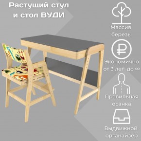 Комплект растущий стол и стул с чехлом 38 попугаев «Вуди» (Серый, Без покрытия, Монстры) в Серове - serov.mebel24.online | фото
