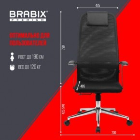 Кресло BRABIX PREMIUM "Ultimate EX-801" хром, плотная двойная сетка Х2, черное, 532917 в Серове - serov.mebel24.online | фото 7
