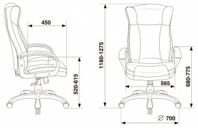 Кресло для руководителя Бюрократ CH-879N в Серове - serov.mebel24.online | фото