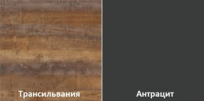 Кухонный гарнитур угловой Трансильвания 2600х1600 мм (Стол. 26 мм) в Серове - serov.mebel24.online | фото 3