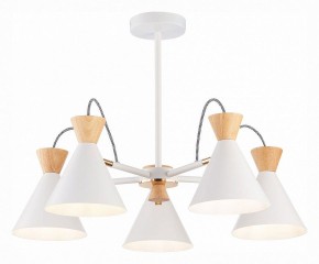 Люстра на штанге EVOLUCE Modica SLE125102-05 в Серове - serov.mebel24.online | фото 2