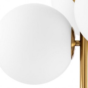 Люстра на штанге Lightstar Croco 815031 в Серове - serov.mebel24.online | фото 3