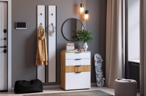 МЕБЕЛЬСОН К21 Прихожая в Серове - serov.mebel24.online | фото