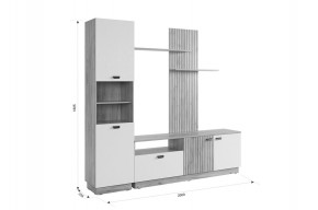 МОДИ К1 Гостиная (белое дерево) в Серове - serov.mebel24.online | фото 2