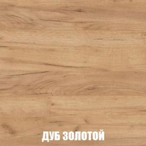 МСП-1 Шкаф 2-х створчатый (Дуб Золотой/Камень темный) в Серове - serov.mebel24.online | фото 4