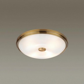Накладной светильник Odeon Light Pelow 4956/4 в Серове - serov.mebel24.online | фото 2