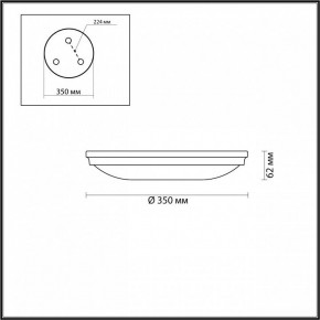 Накладной светильник Odeon Light Pelow 4956/4 в Серове - serov.mebel24.online | фото 3