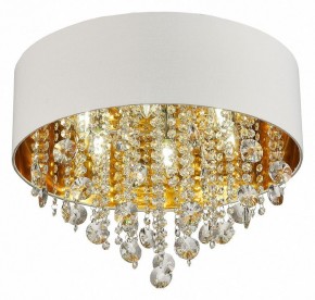 Накладной светильник ST-Luce Lacchia SL1350.502.06 в Серове - serov.mebel24.online | фото 3